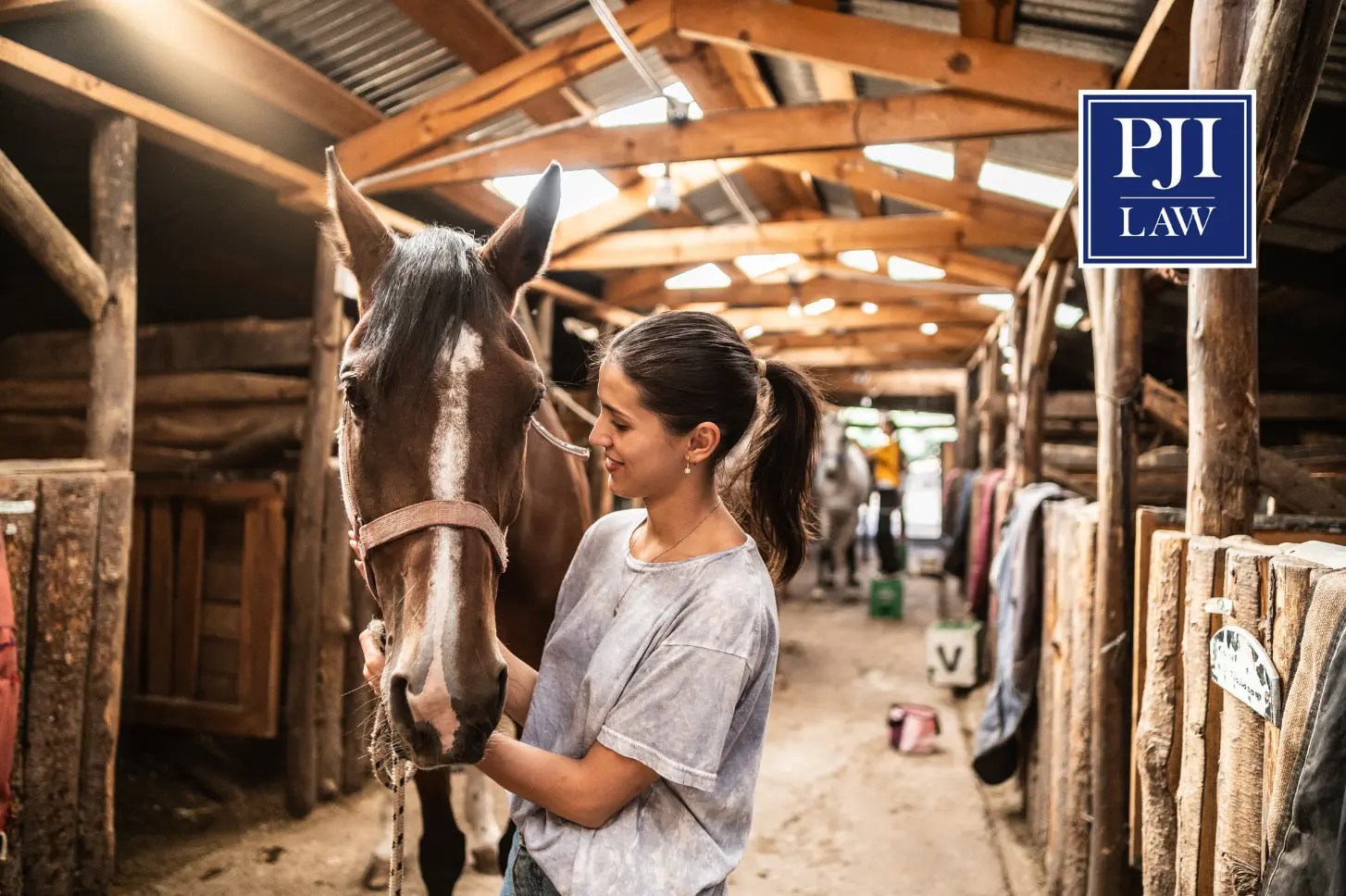 Contact Us 1 Should You Put Your Horse in a Trust? A Practical Guide to Equine Estate Planning in Virginia